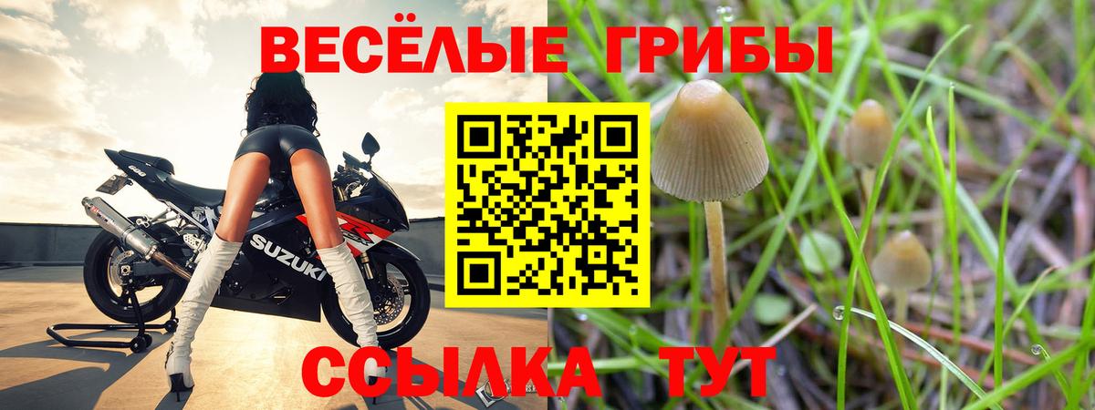 Псилоцибиновые грибы MAGIC MUSHROOMS Жигулёвск