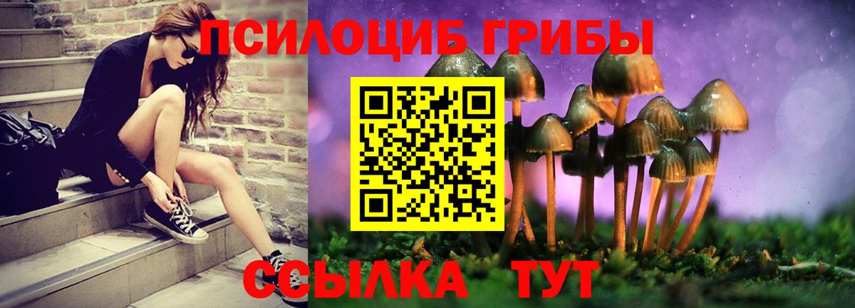 Жигулёвск  Галлюциногенные грибы прущие грибы  Вход с VPN  Псилоцибиновые грибы ЛСД 